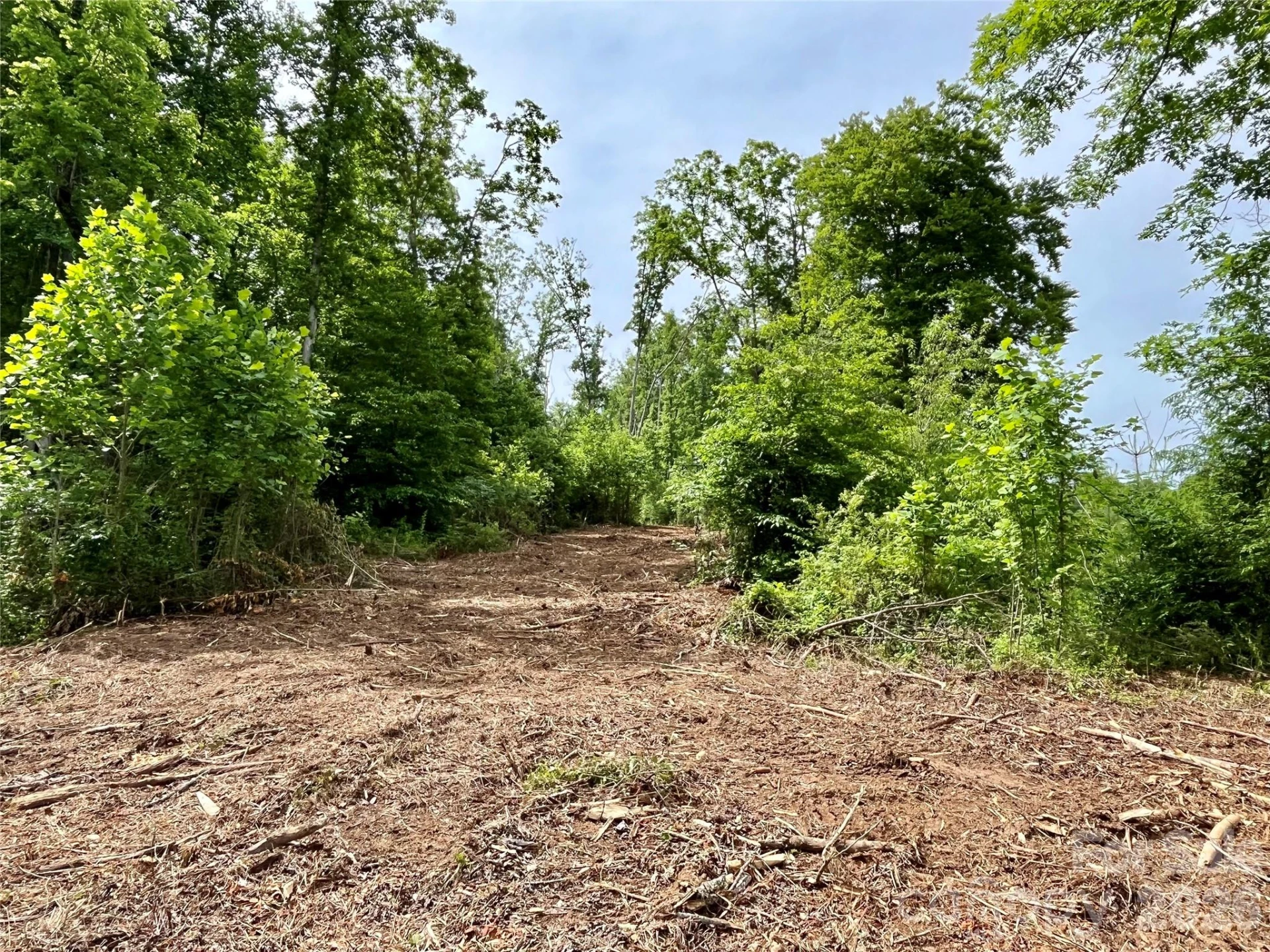 TBD Collettsville Road #4 - Photo 4
