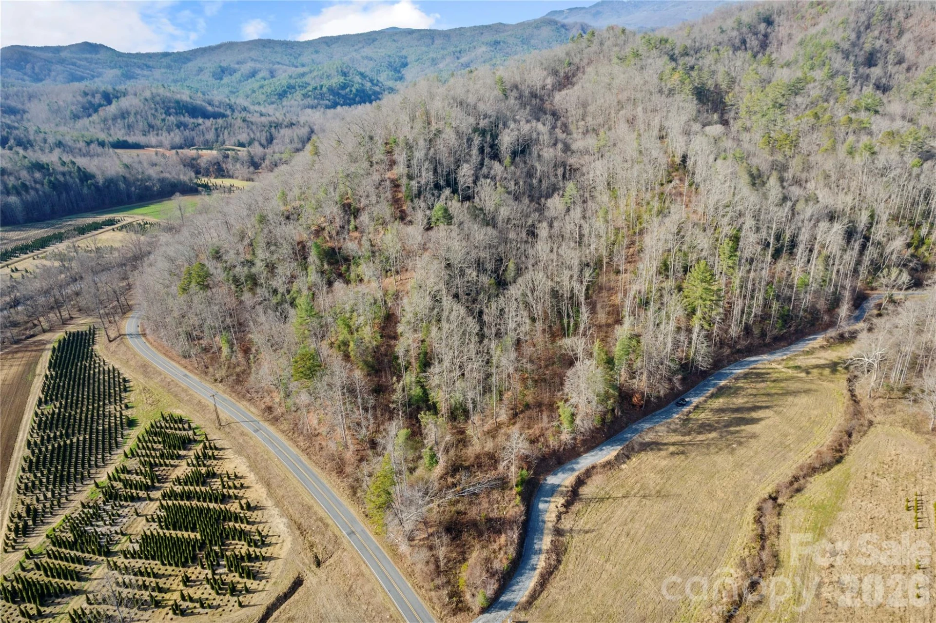 TBD Collettsville Road #4 - Photo 31