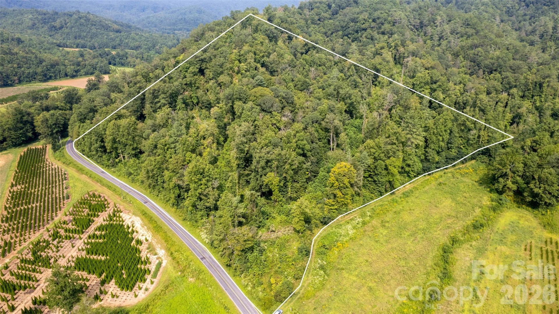 TBD Collettsville Road #4 - Photo 5