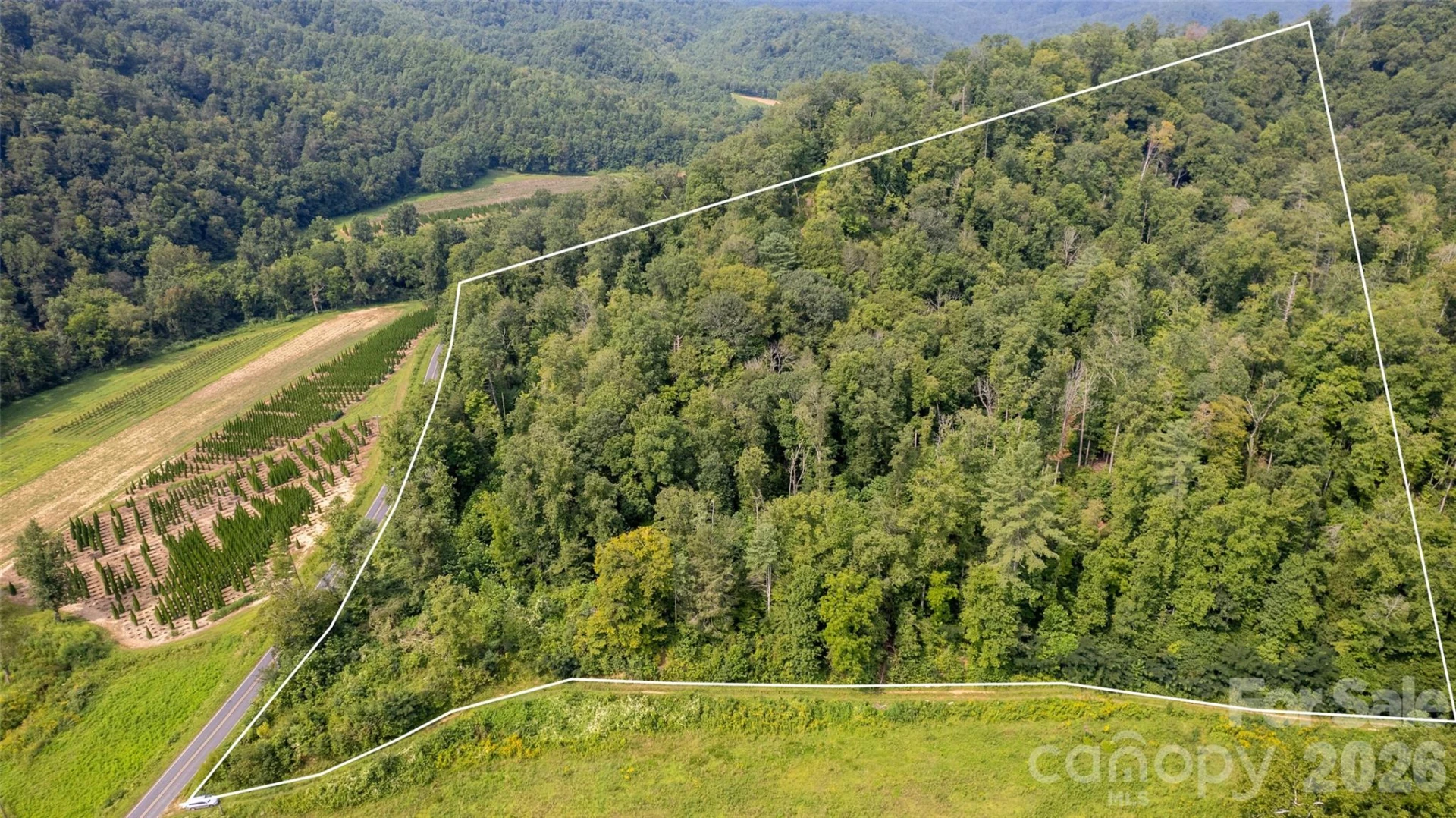 TBD Collettsville Road #4 - Photo 10