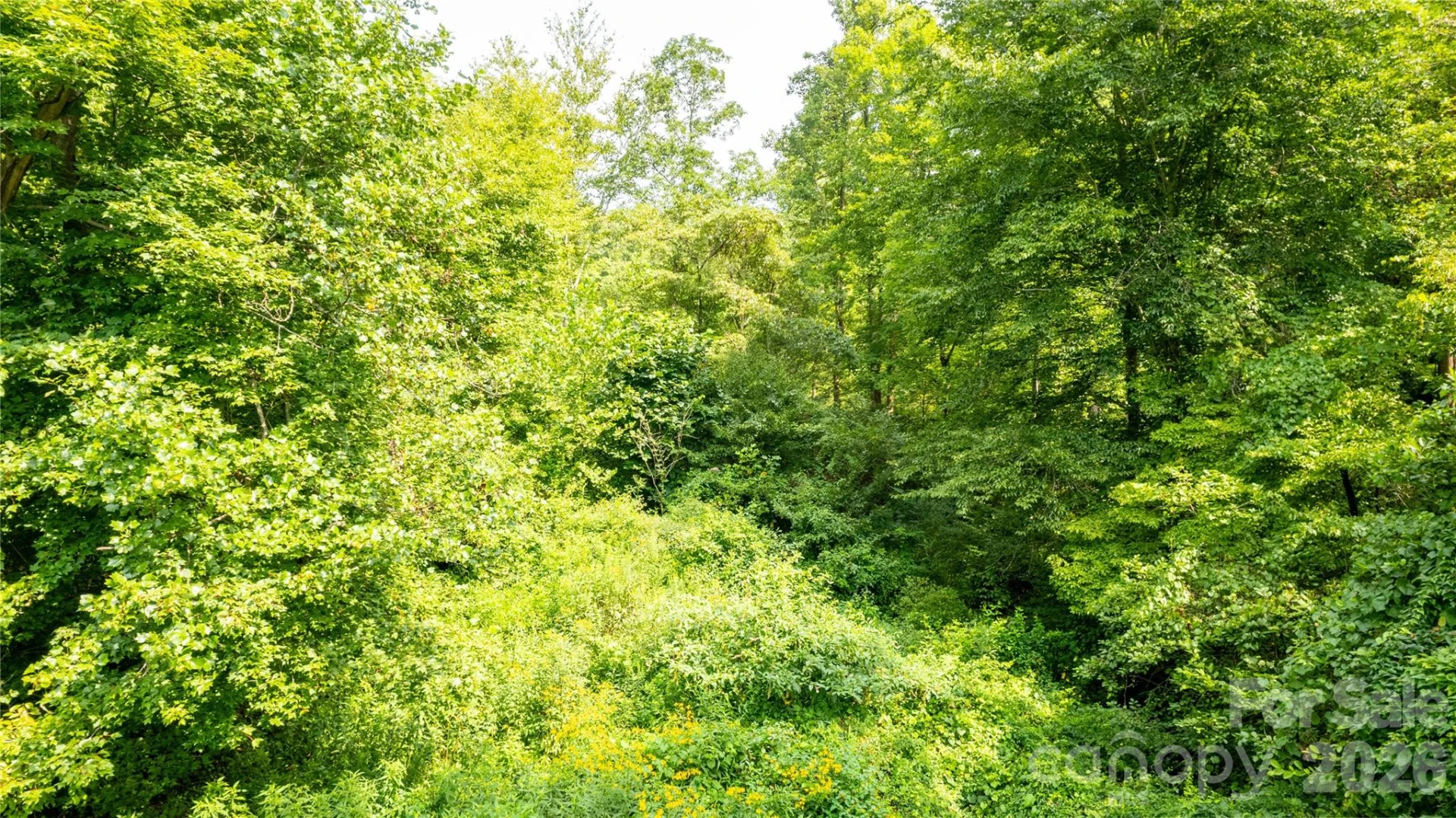 TBD Collettsville Road #13 - Photo 14