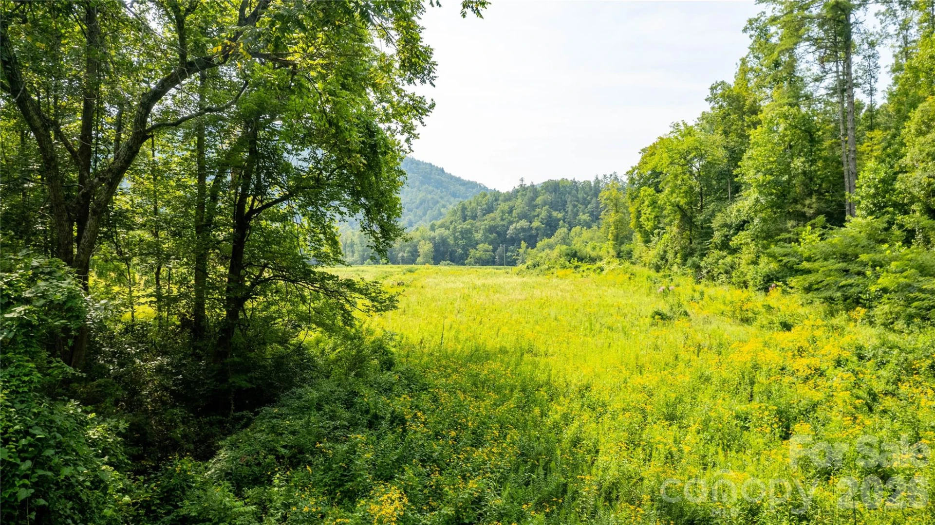 TBD Collettsville Road #13 - Photo 4