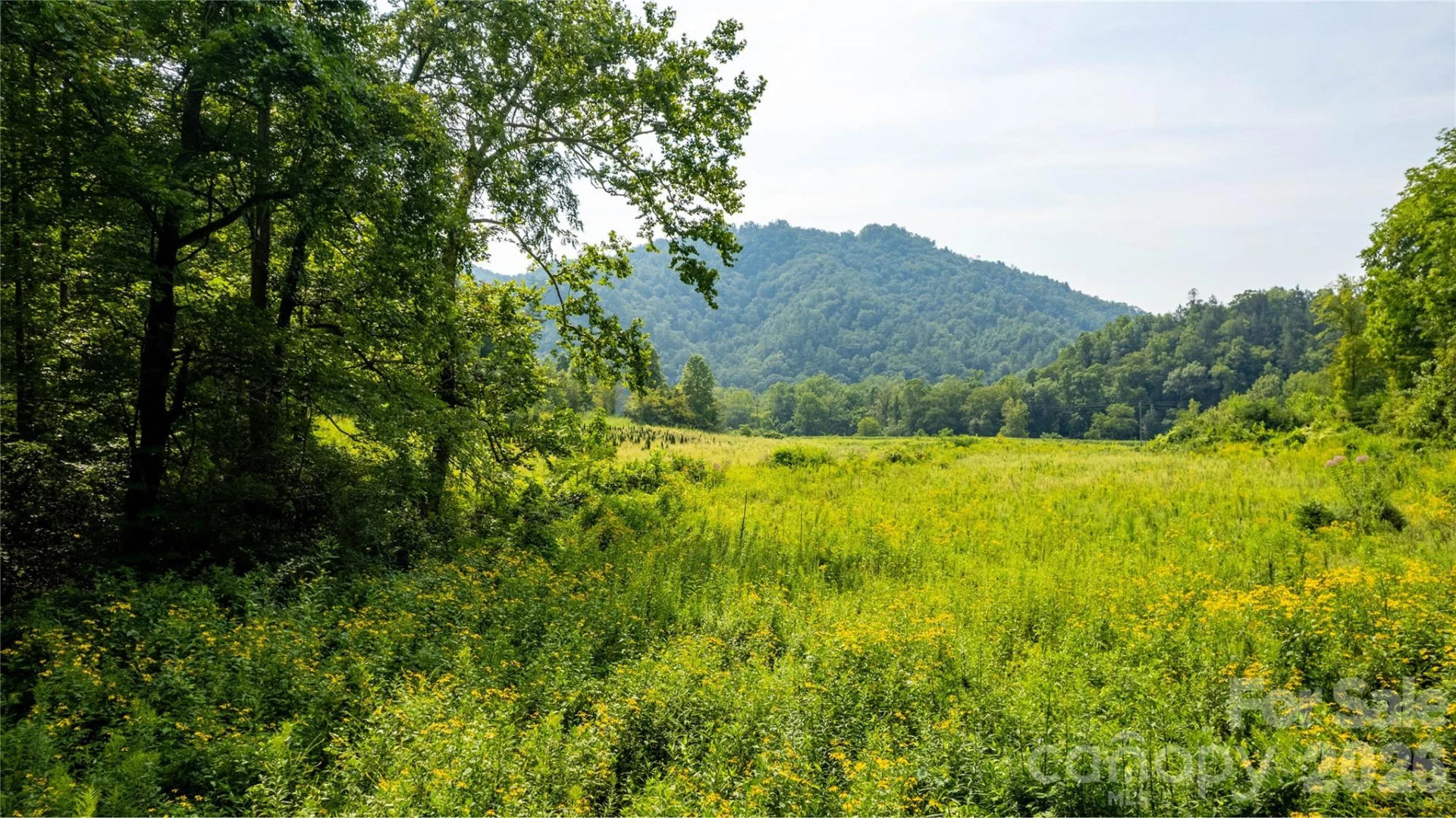 TBD Collettsville Road #14 - Photo 5