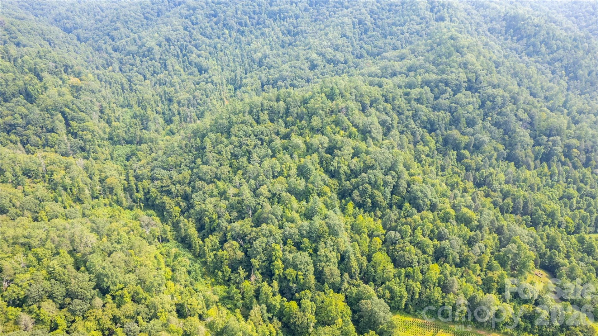 TBD Collettsville Road #14 - Photo 9