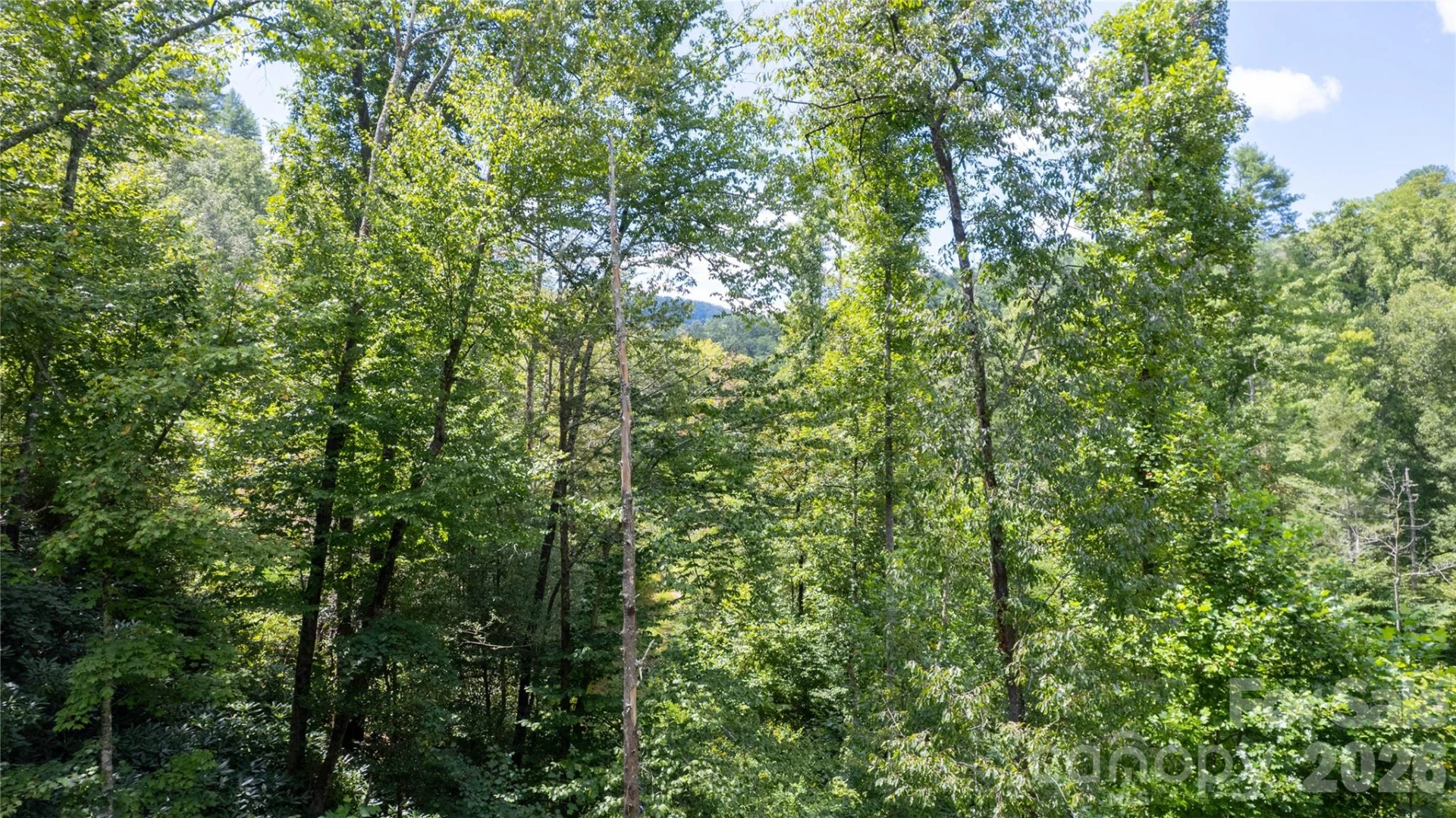 TBD Collettsville Road #9 - Photo 11