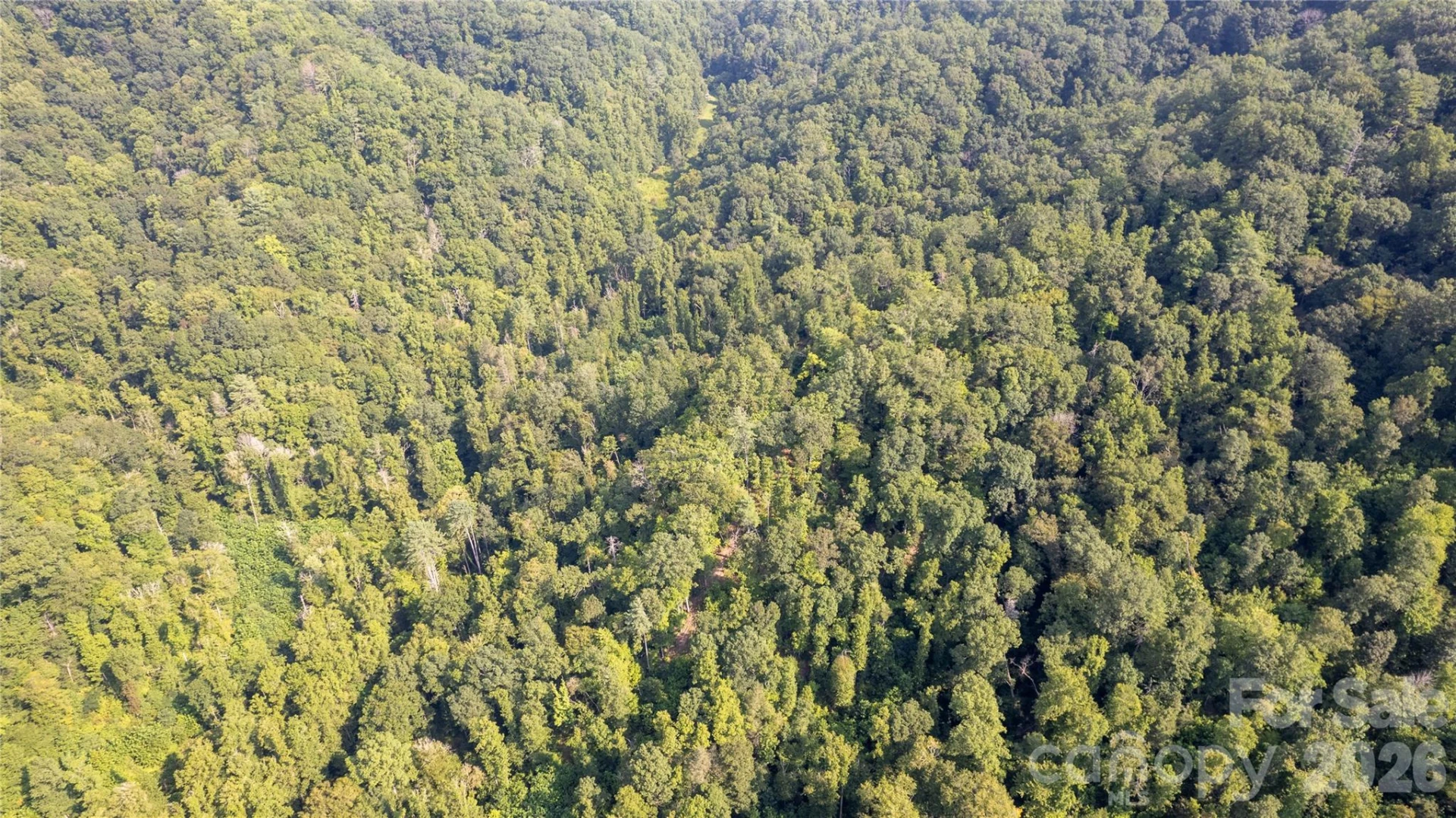 TBD Collettsville Road #9 - Photo 13