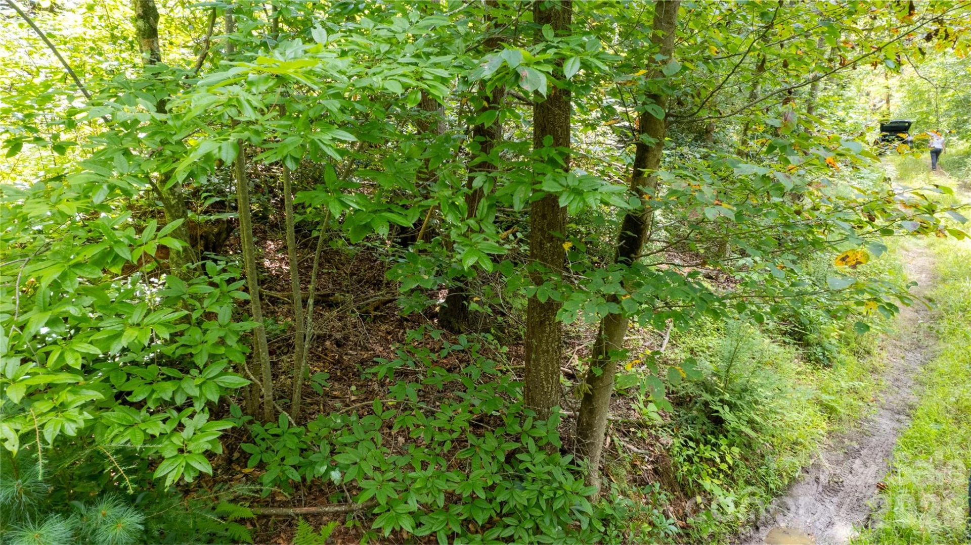 TBD Collettsville Road #9 - Photo 5