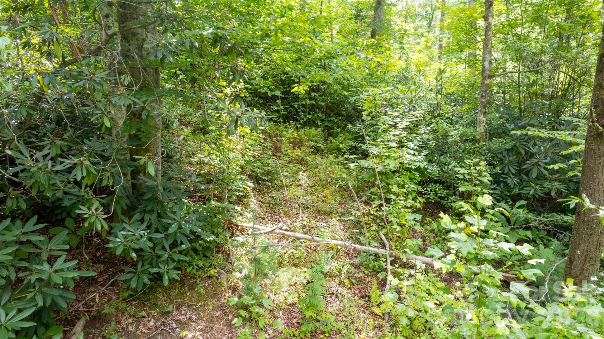 TBD Collettsville Road #9 - Photo 9