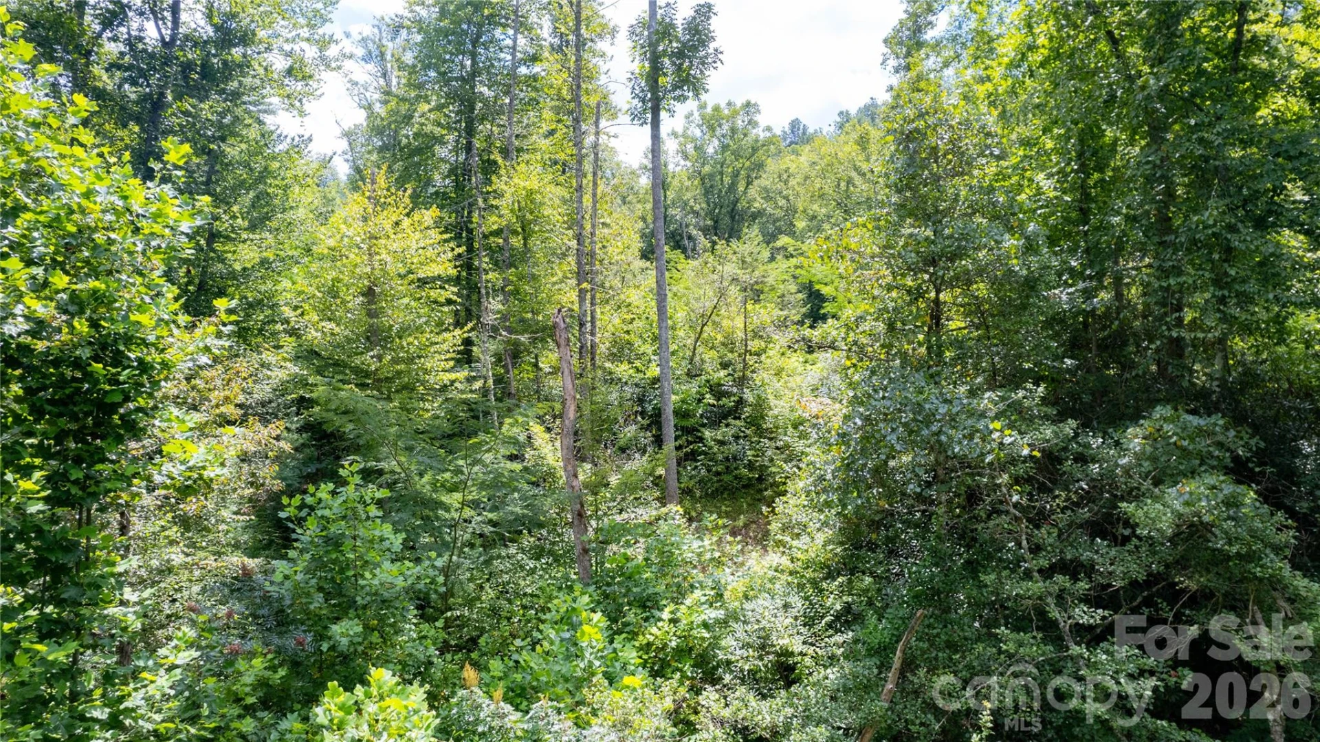 TBD Collettsville Road #9 - Photo 10