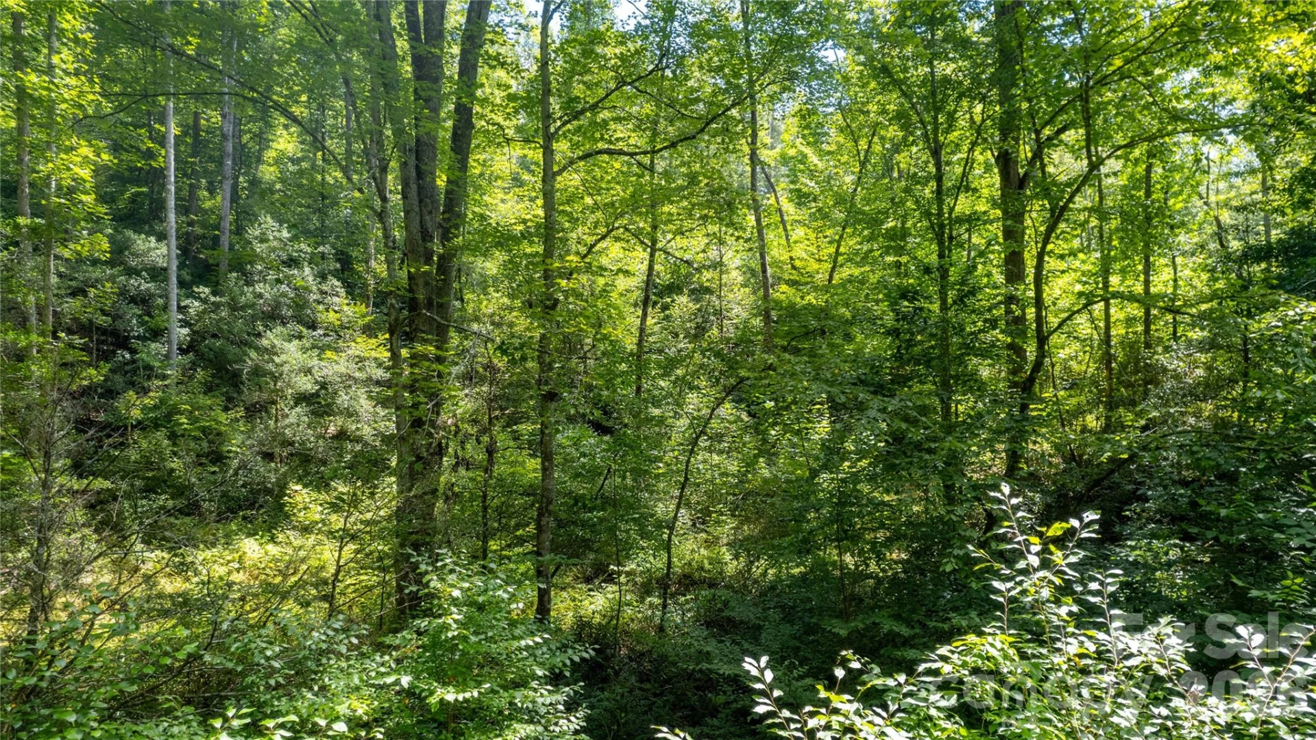 TBD Collettsville Road #7 - Photo 15