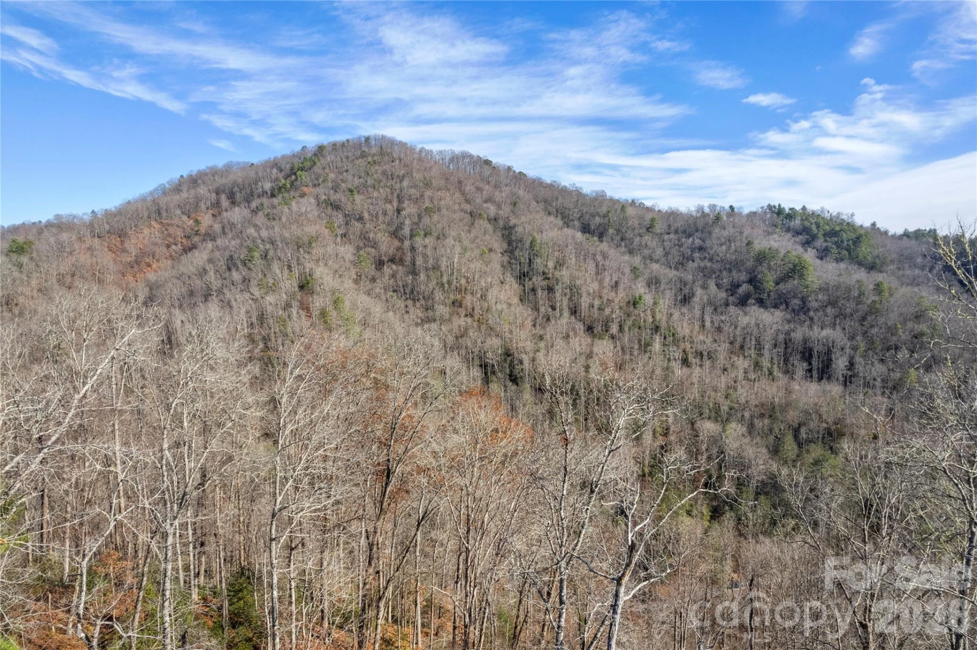 TBD Collettsville Road #7 - Photo 26