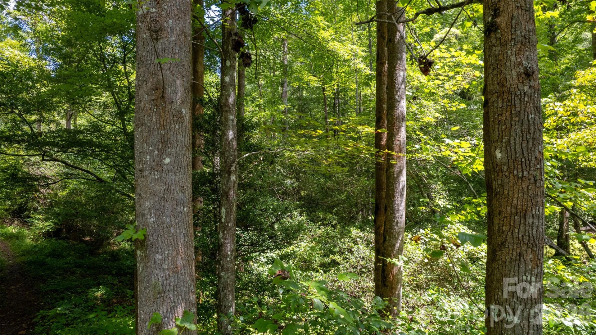 TBD Collettsville Road #7 - Photo 4