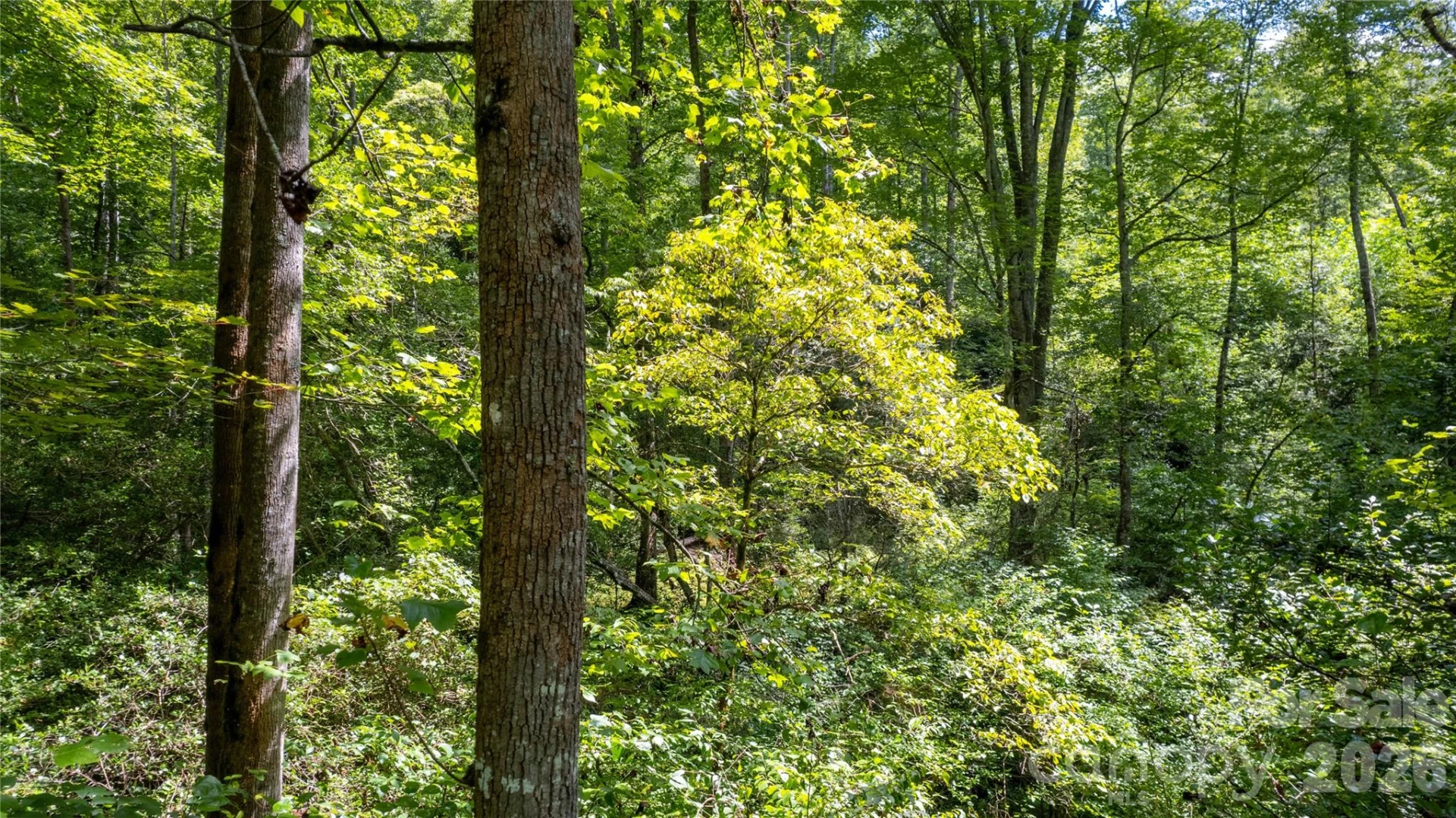 TBD Collettsville Road #7 - Photo 7