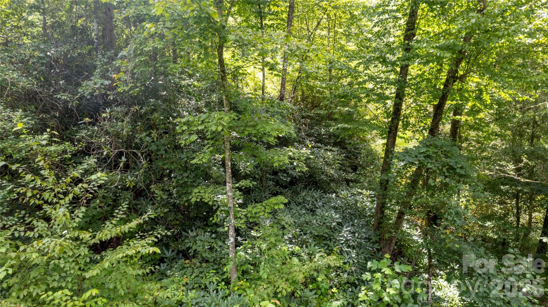 TBD Collettsville Road #7 - Photo 8