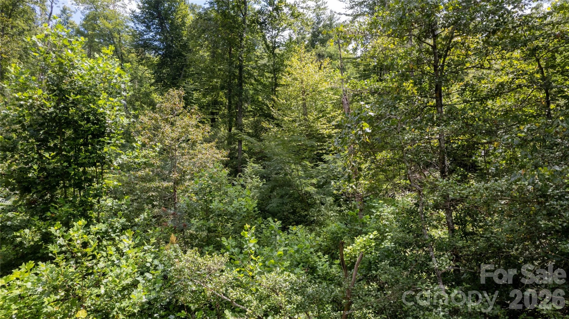 TBD Collettsville Road #7 - Photo 9