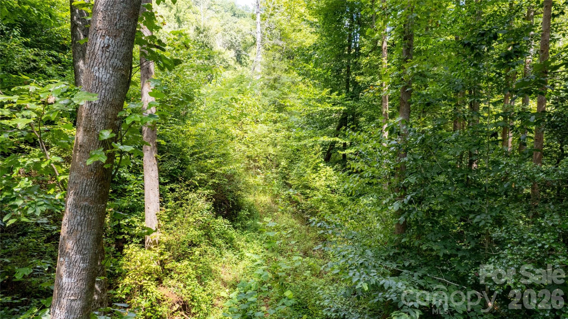TBD Collettsville Road #11 - Photo 11