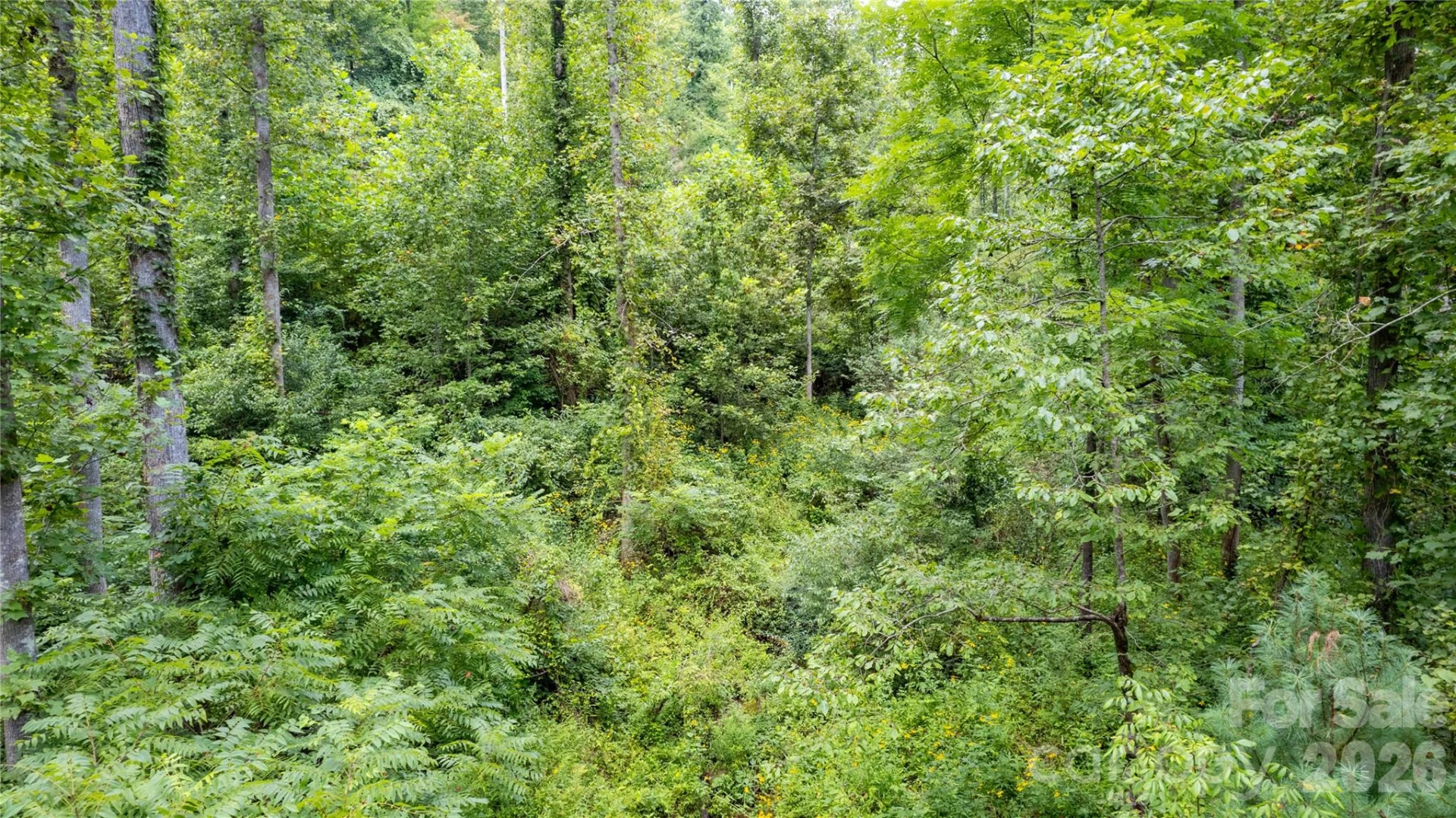TBD Collettsville Road #11 - Photo 13