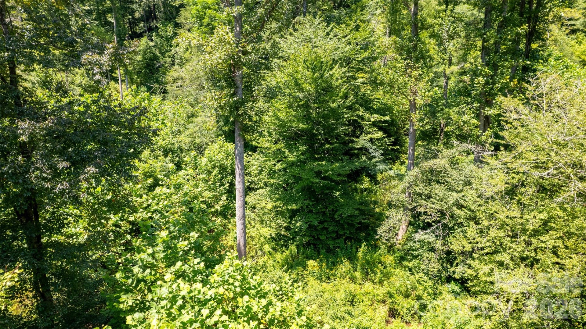 TBD Collettsville Road #11 - Photo 14
