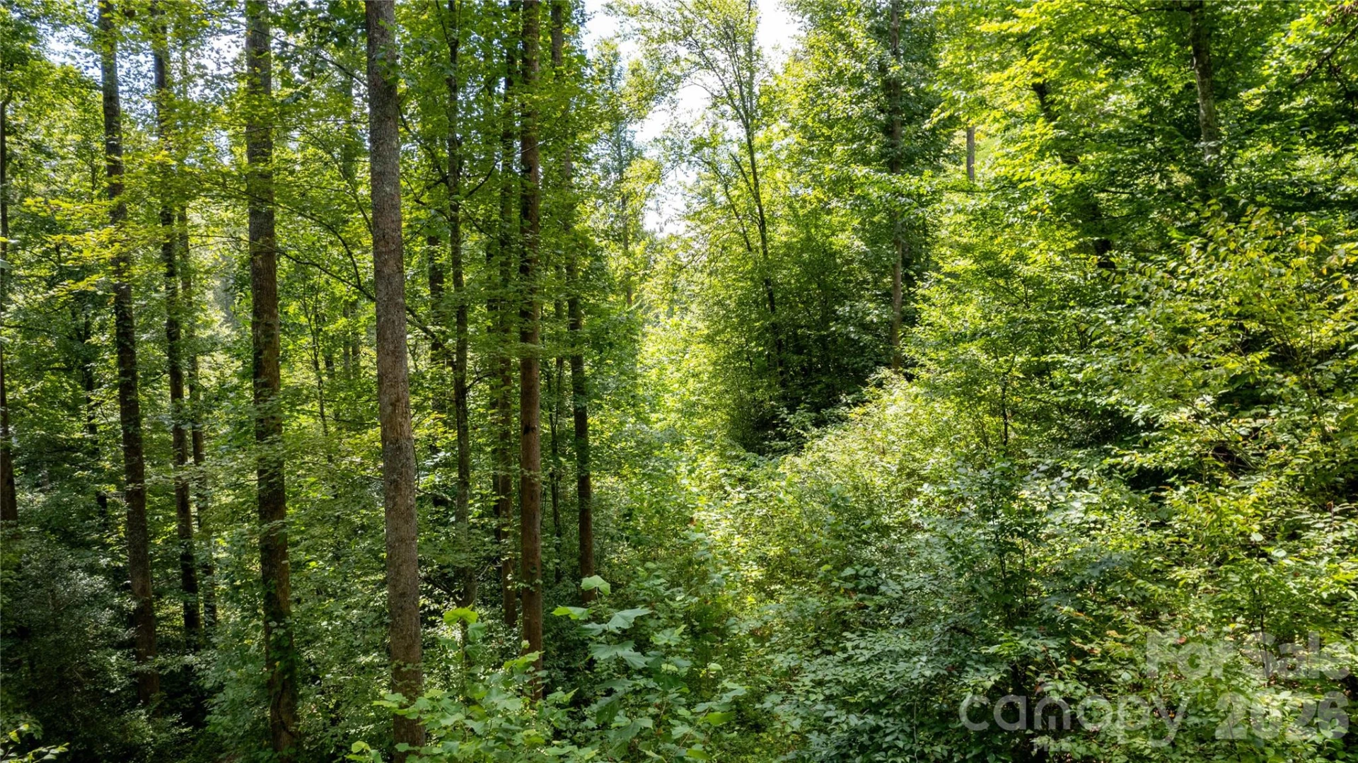 TBD Collettsville Road #11 - Photo 6