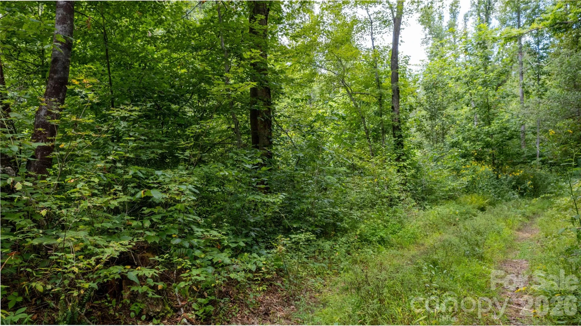 TBD Collettsville Road #11 - Photo 7