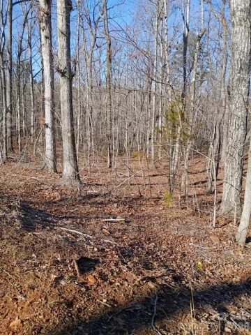 00 County Line Road