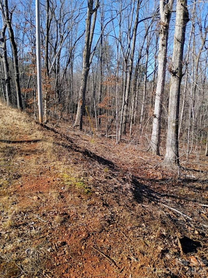 00 County Line Road - Photo 2