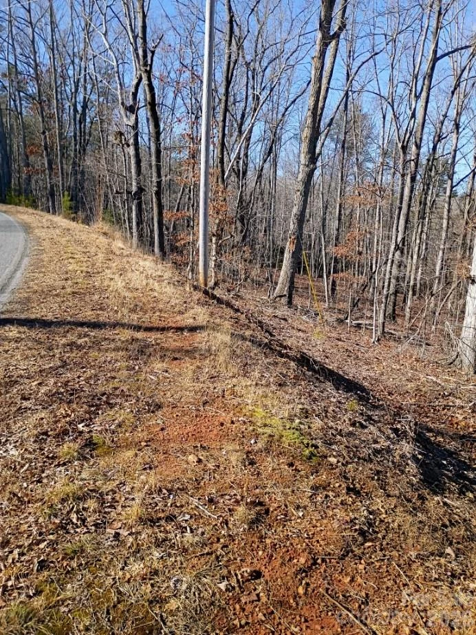 00 County Line Road - Photo 3