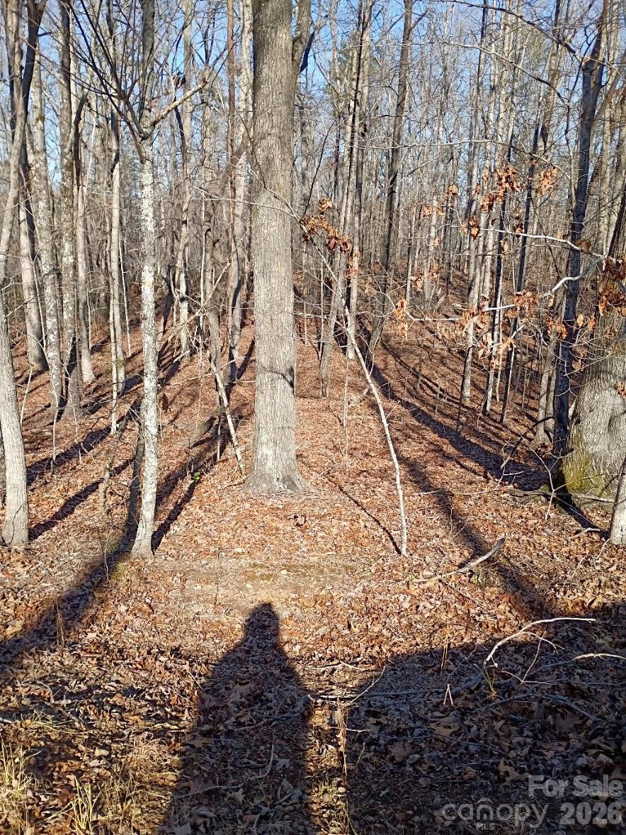 00 County Line Road - Photo 4