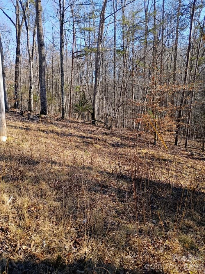 00 County Line Road - Photo 5