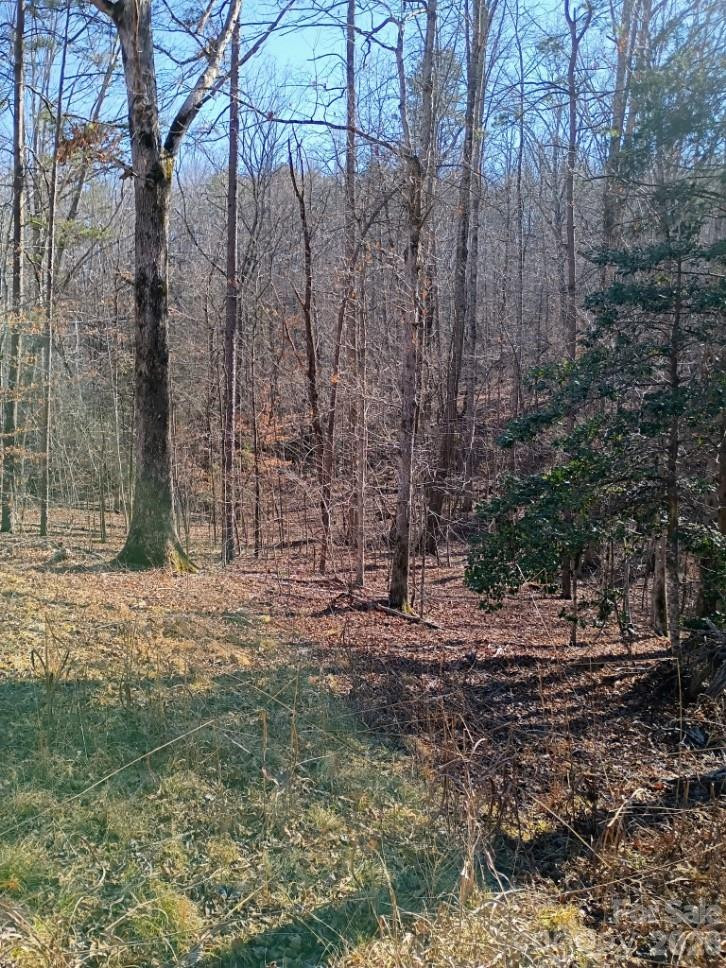 00 County Line Road - Photo 6