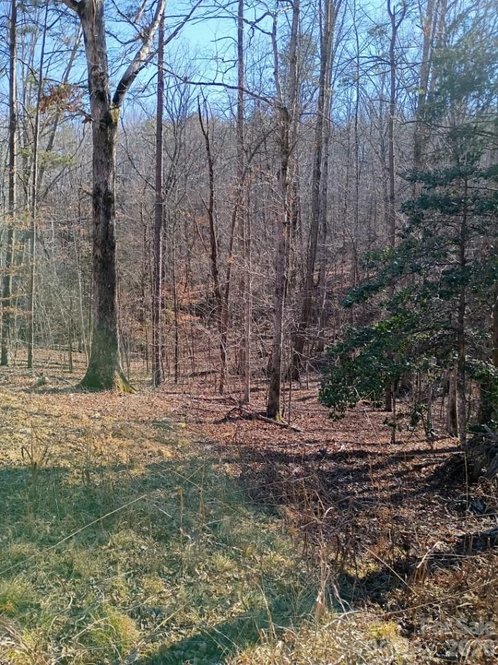 00 County Line Road - Photo 6