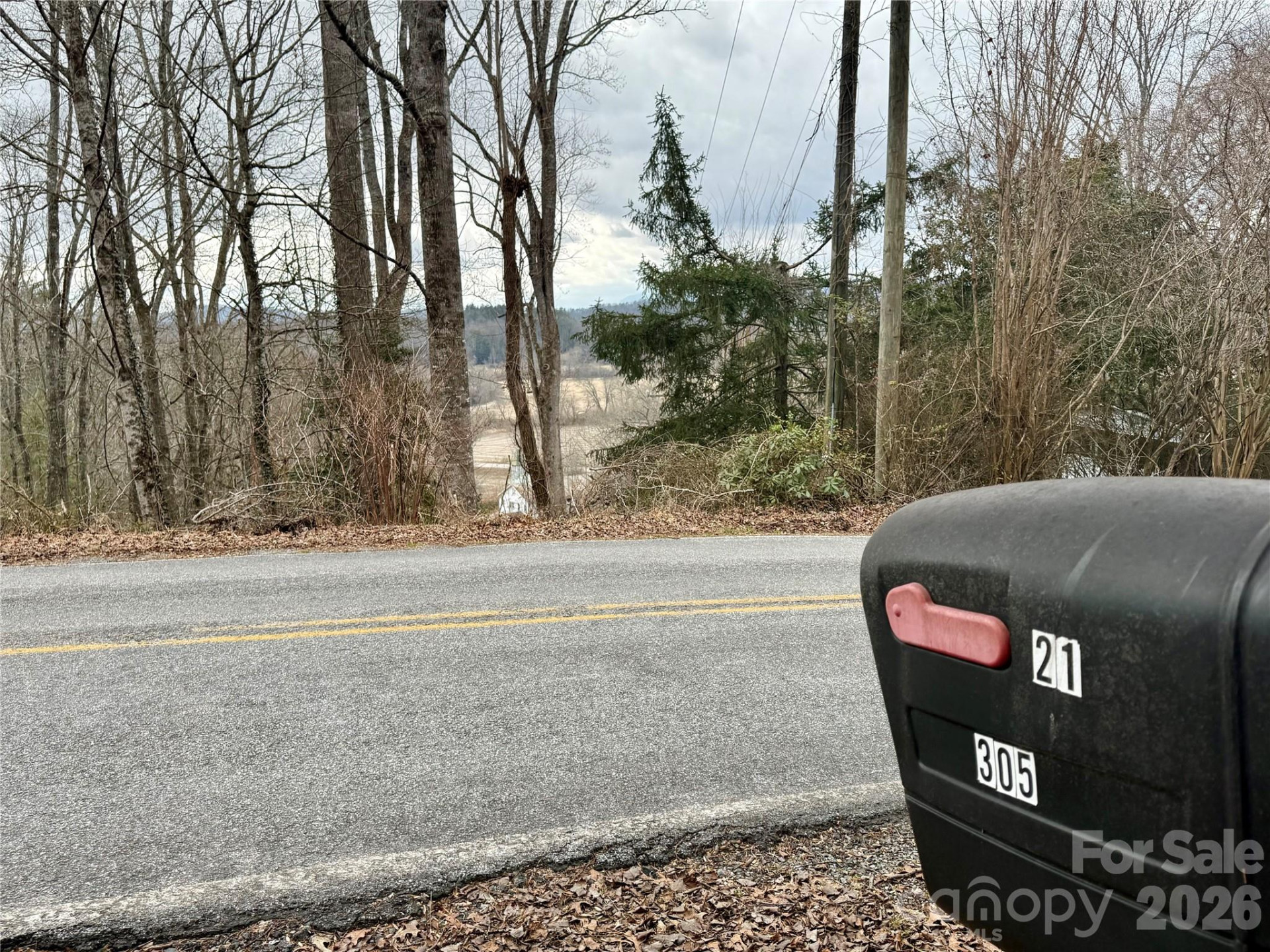 305 Rich Mountain Road - Photo 4