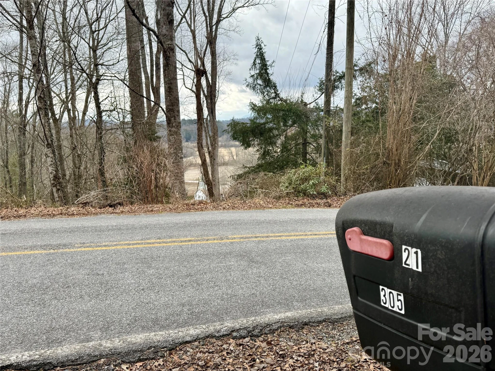 305 Rich Mountain Road - Photo 4