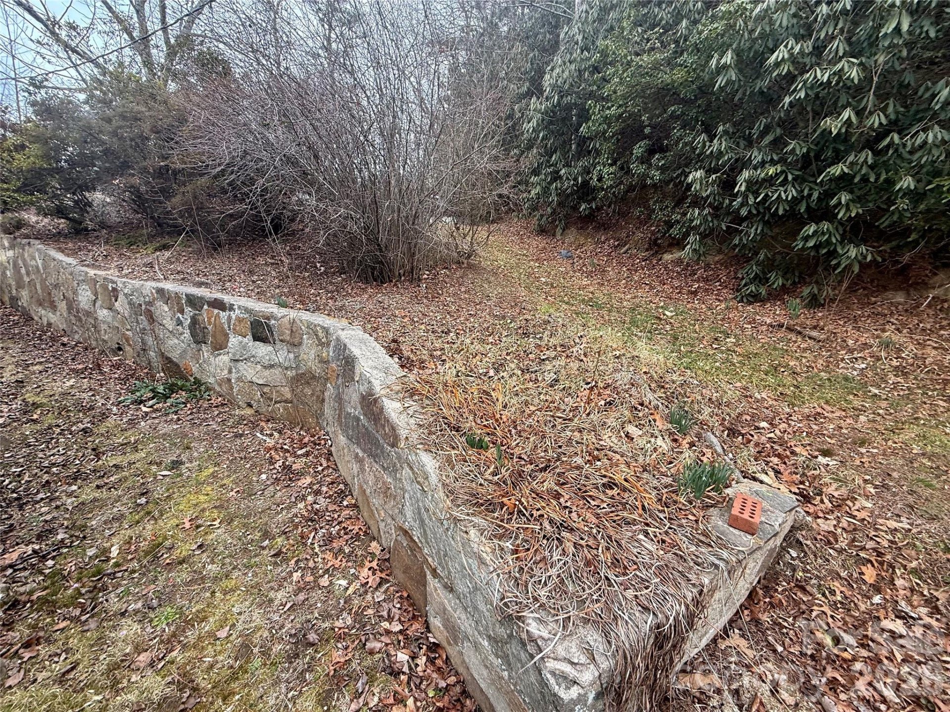 305 Rich Mountain Road - Photo 7