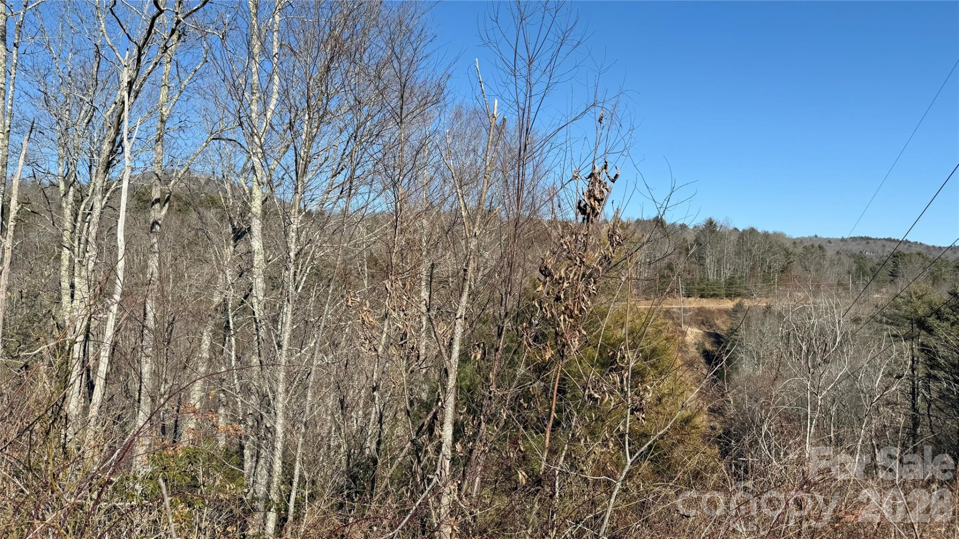 207 Receptive Drive #29 - Photo 14