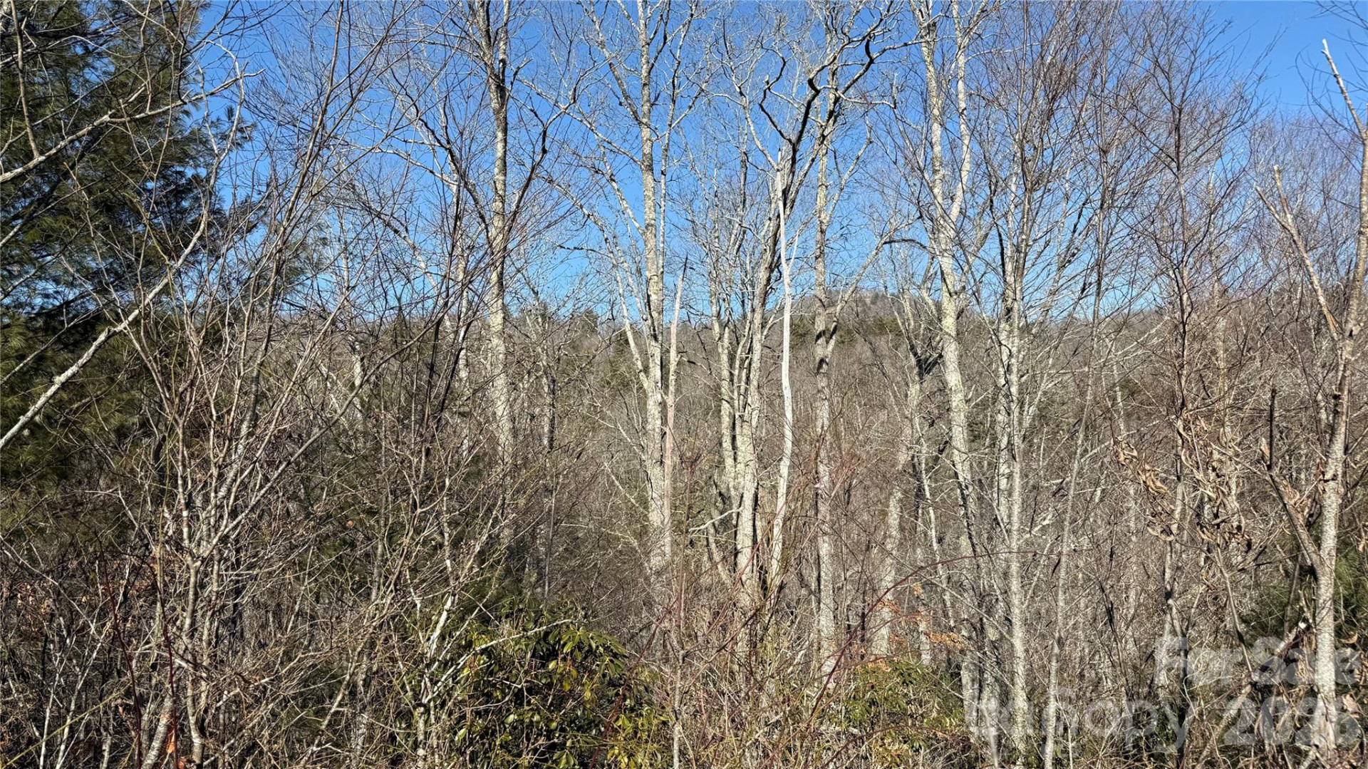 207 Receptive Drive #29 - Photo 15