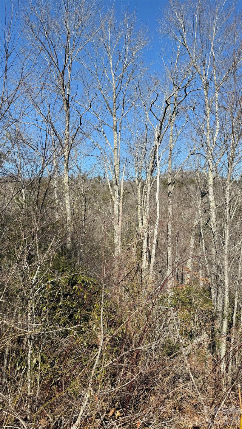 207 Receptive Drive #29 - Photo 16