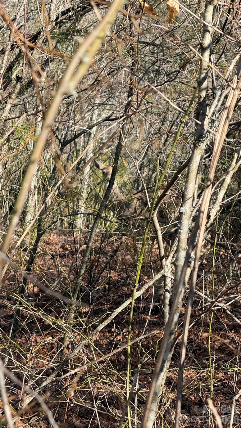 207 Receptive Drive #29 - Photo 17