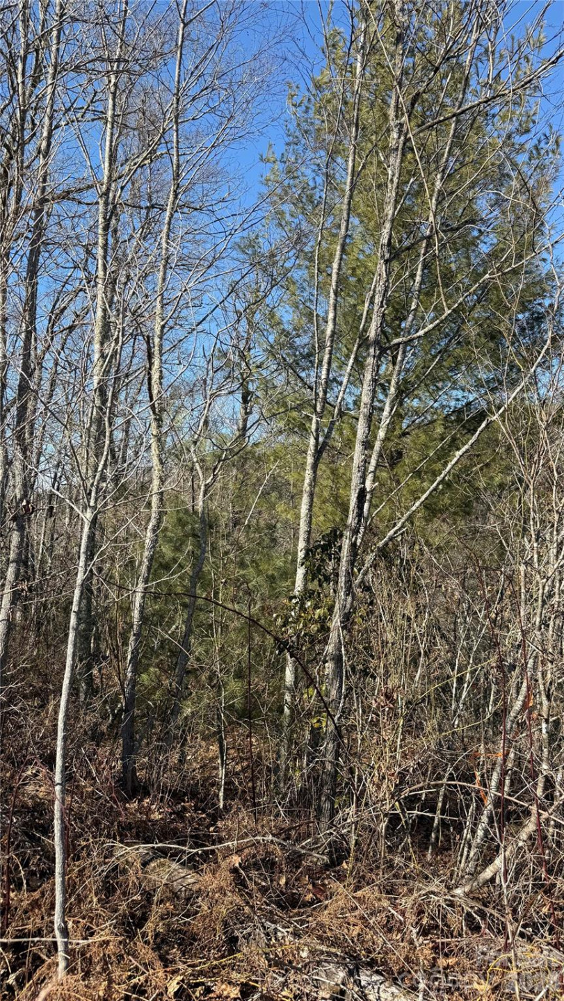 207 Receptive Drive #29 - Photo 19