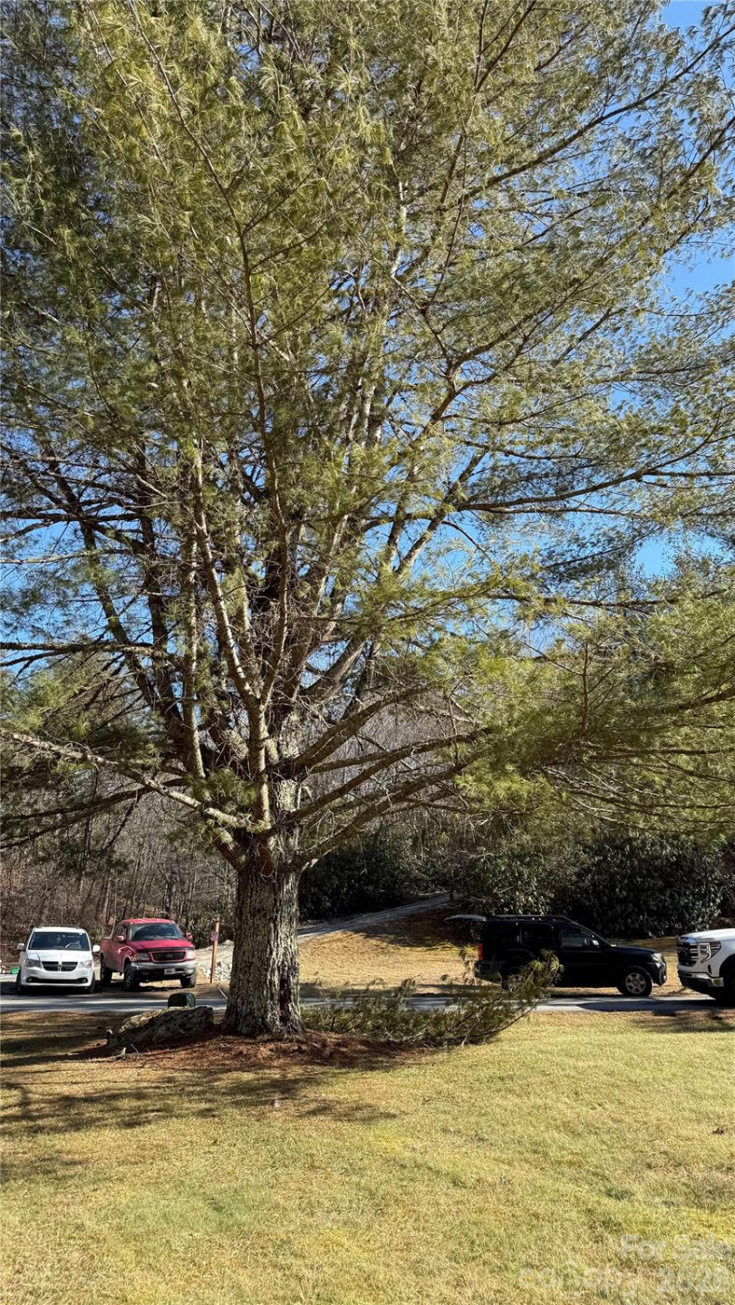 207 Receptive Drive #29 - Photo 3