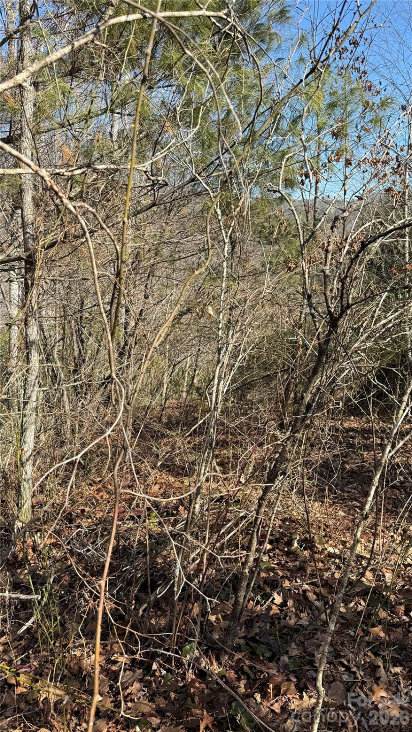 207 Receptive Drive #29 - Photo 21