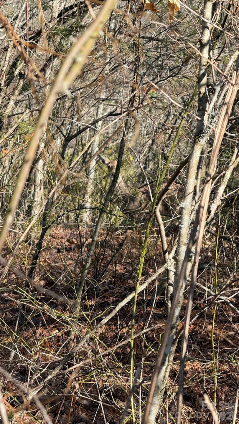 207 Receptive Drive #29 - Photo 22