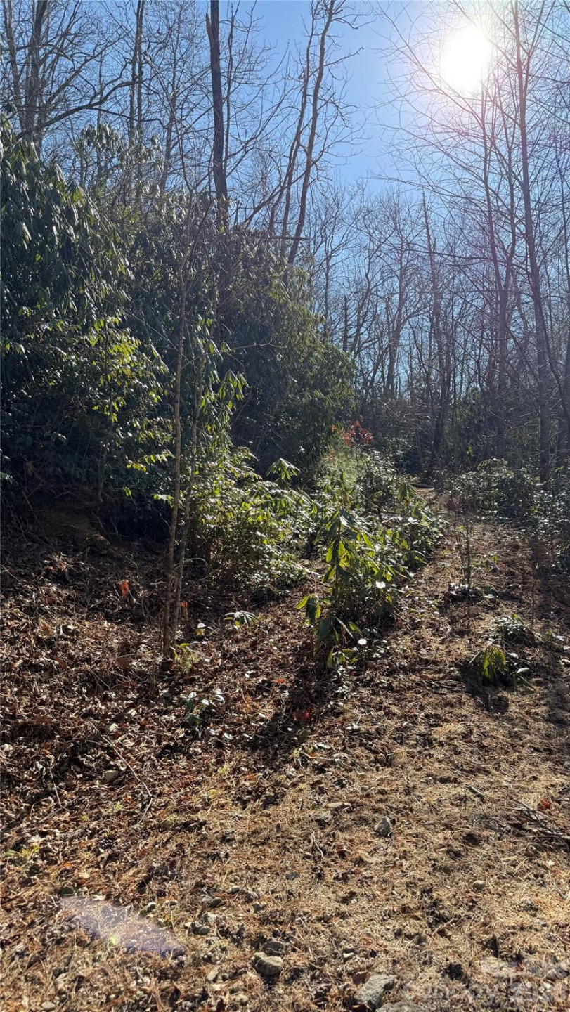 207 Receptive Drive #29 - Photo 23