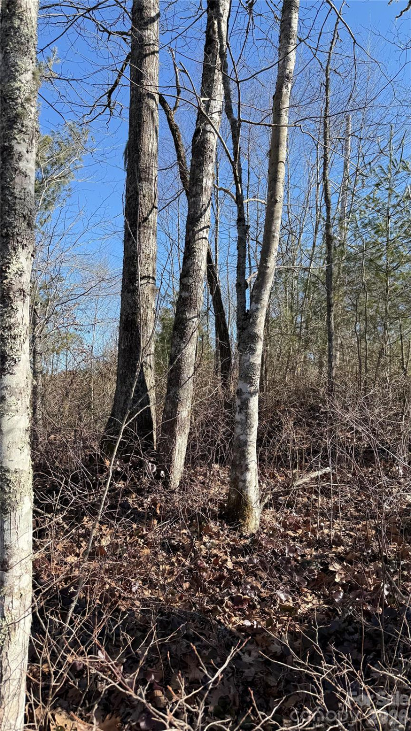 207 Receptive Drive #29 - Photo 25