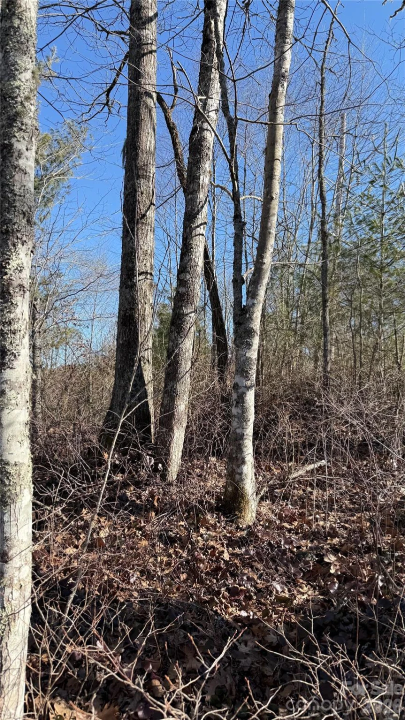 207 Receptive Drive #29 - Photo 25
