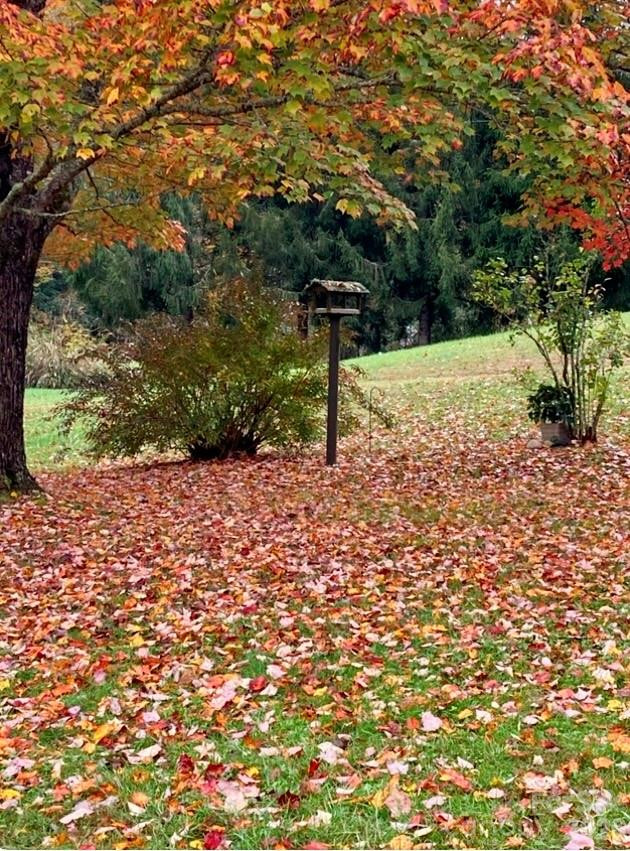 504 Greens Creek Road - Photo 42