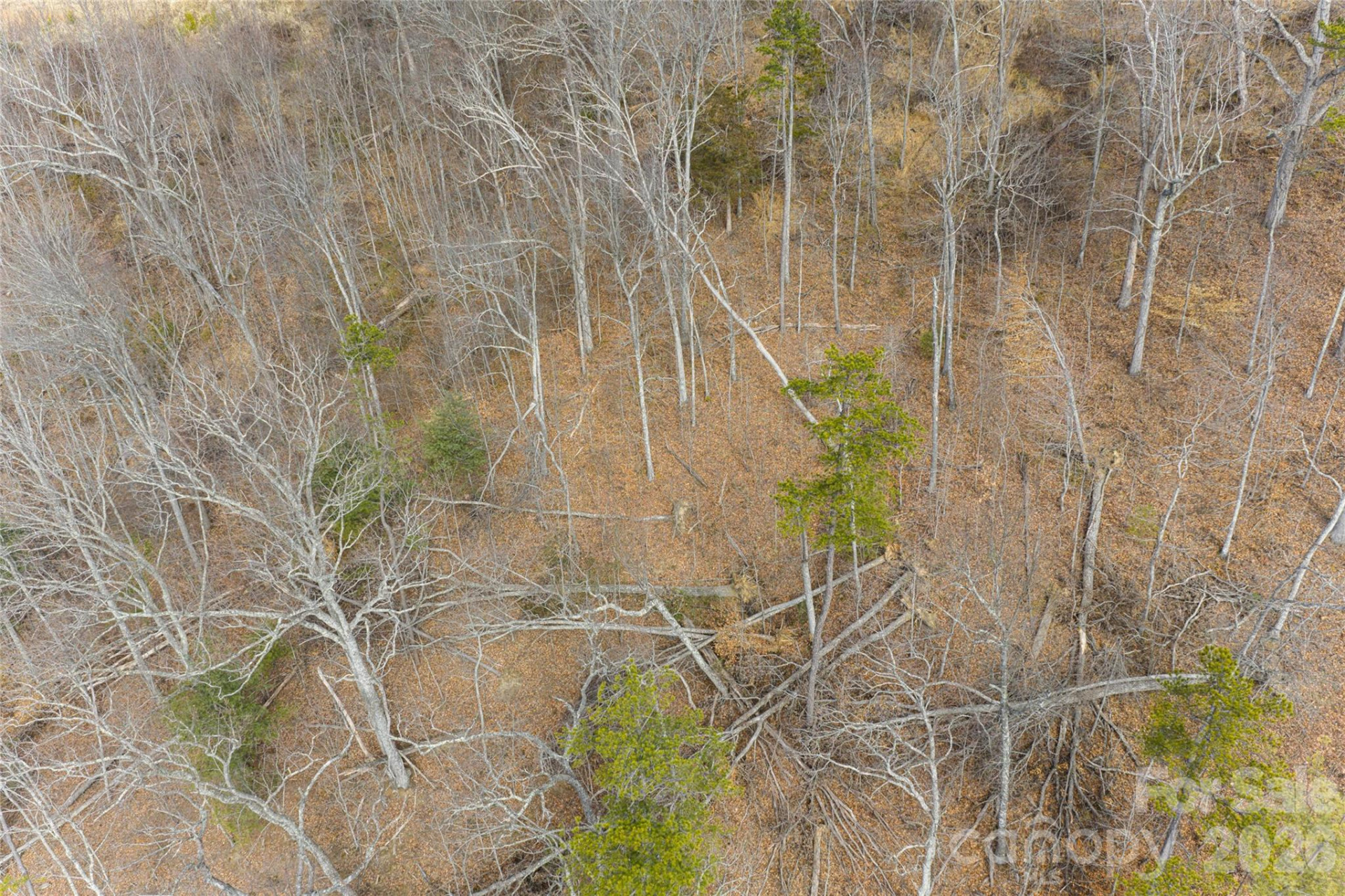 5 Longstreet Court #17 - Photo 12