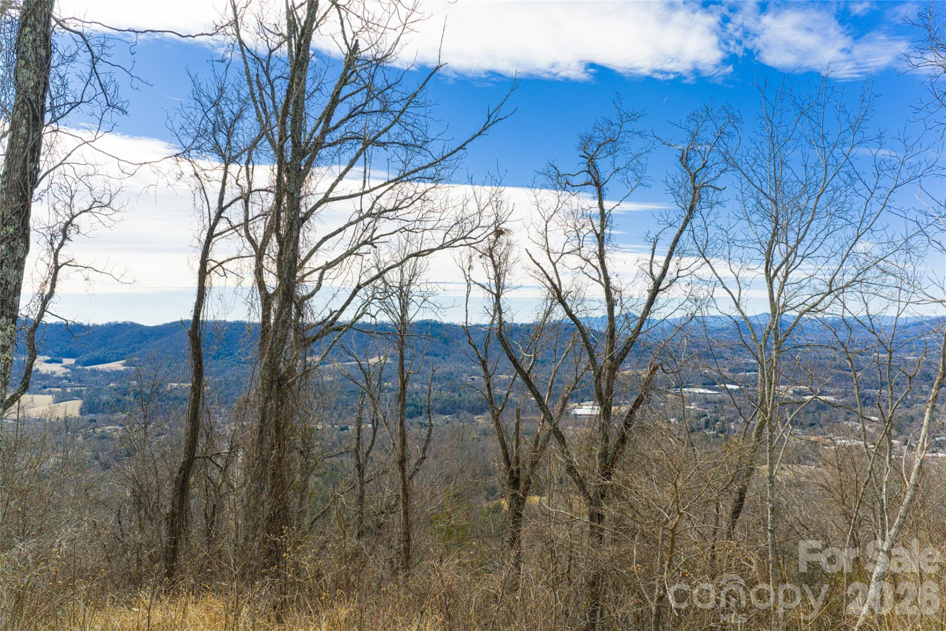 5 Longstreet Court #17 - Photo 4