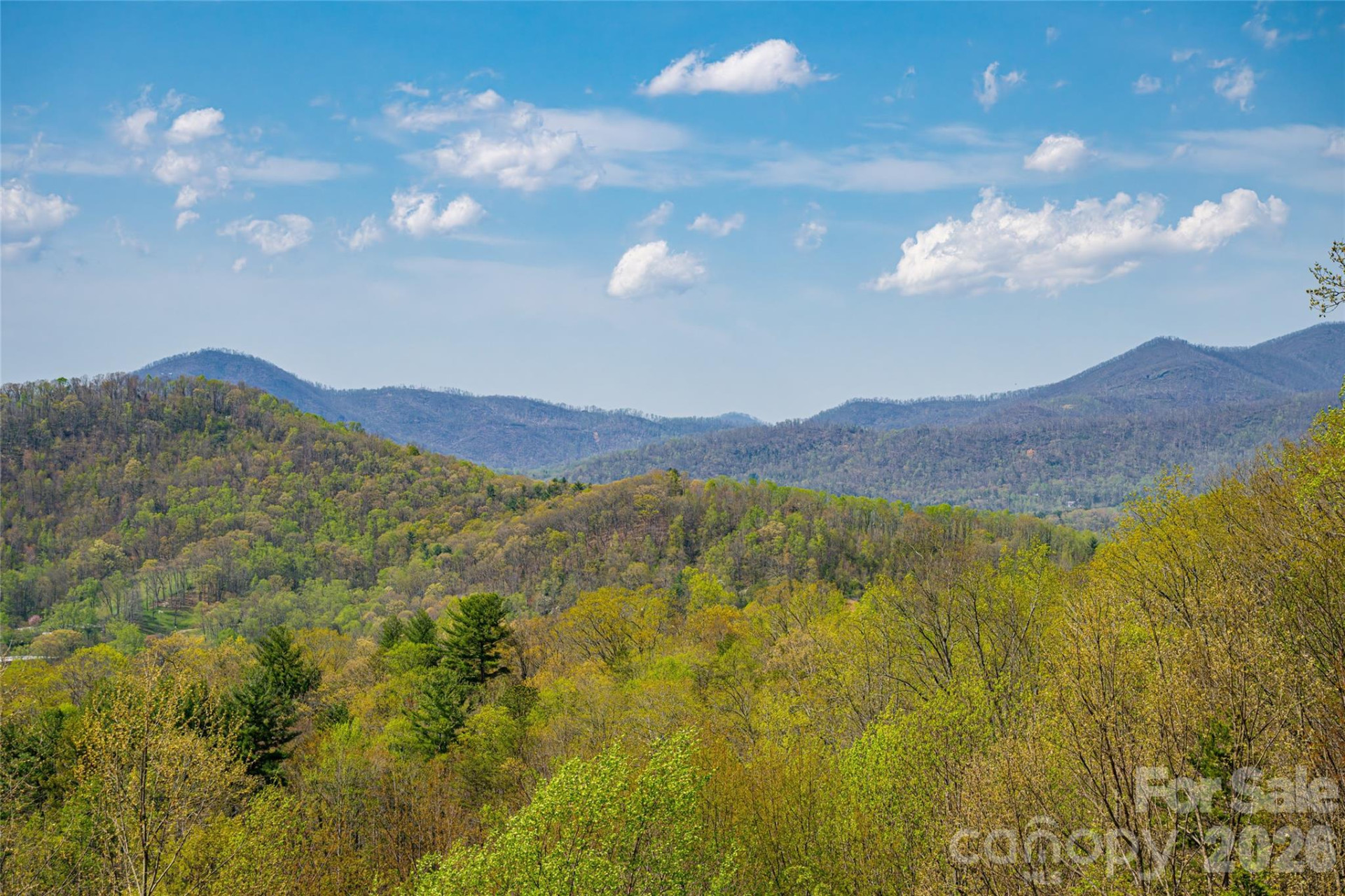 116 Dalya Road - Photo 42