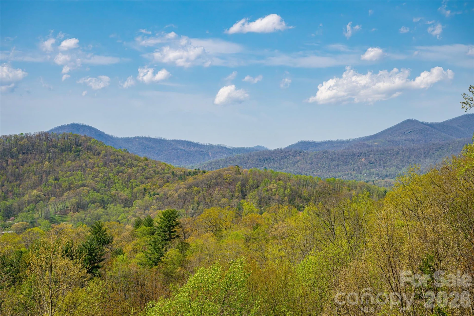 116 Dalya Road - Photo 42